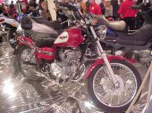 2000 Honda Rebel 250 ED/Rebel 250 G photo